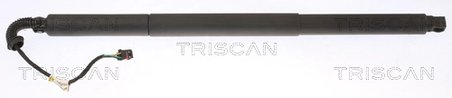 Amortizor portbagaj Triscan 8710 29308