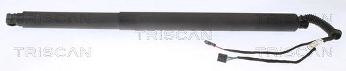 Amortizor portbagaj Triscan 8710 29311