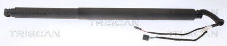 Amortizor portbagaj Triscan 8710 29311