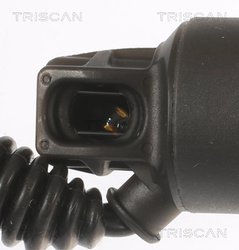 Amortizor portbagaj Triscan 8710 29308