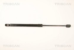 Amortizor portbagaj Triscan 8710 43231