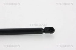 Amortizor portbagaj Triscan 8710 66207
