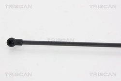 Amortizor portbagaj Triscan 8710 66207