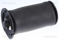 ARC PNEUMATIC DIRECTIE TRISCAN 8720 11202 - Compatibil cu BMW