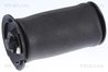ARC PNEUMATIC DIRECTIE TRISCAN 8720 11202 - Compatibil cu BMW