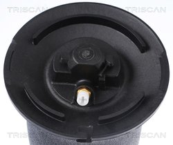 ARC PNEUMATIC DIRECTIE TRISCAN 8720 11202 - Compatibil cu BMW