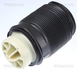 Arc pneumatic directie Triscan 8720 23202