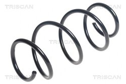 Arc suspensie Triscan 8750 11144