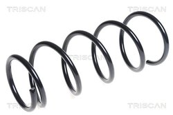 Arc suspensie Triscan 8750 1498