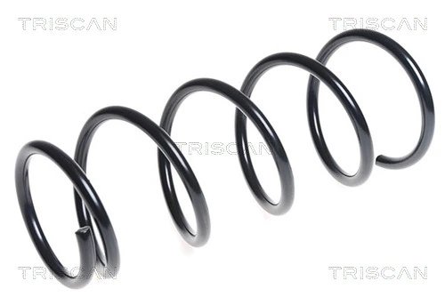 Arc suspensie Triscan 8750 1498