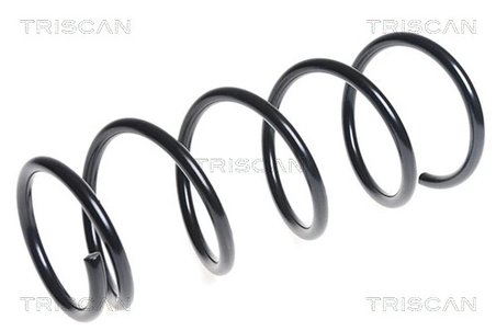 Arc suspensie Triscan 8750 1498