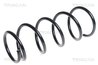 Arc suspensie Triscan 8750 1498