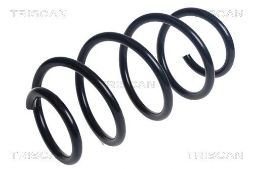 Arc suspensie Triscan 8750 29486