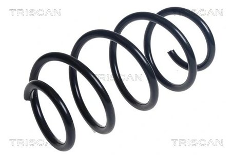 Arc suspensie Triscan 8750 29486