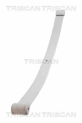 Pachet foi de arc Triscan 8765 10004