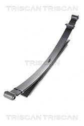 Pachet foi de arc Triscan 8765 14011