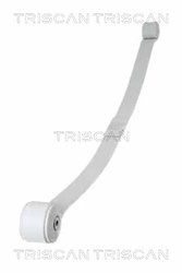 Pachet foi de arc Triscan 8765 16048