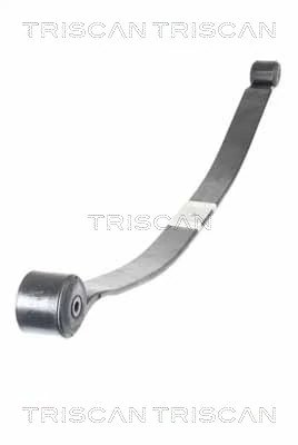 Pachet foi de arc Triscan 8765 16049