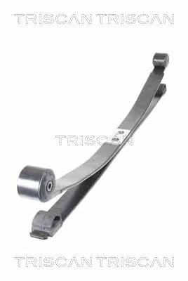 Pachet foi de arc Triscan 8765 16052