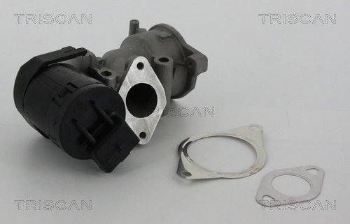 SUPAPA EGR TRISCAN 8813 10001 - Compatibil cu CITROEN, FIAT, FORD, LANCIA, PEUGEOT, VOLVO