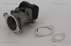 SUPAPA EGR TRISCAN 8813 10001 - Compatibil cu CITROEN, FIAT, FORD, LANCIA, PEUGEOT, VOLVO