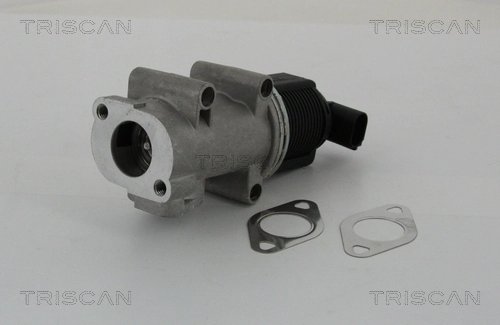 Supapa EGR Triscan 8813 10005