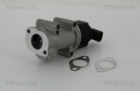 Supapa EGR Triscan 8813 10005