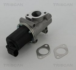 Supapa EGR Triscan 8813 10005