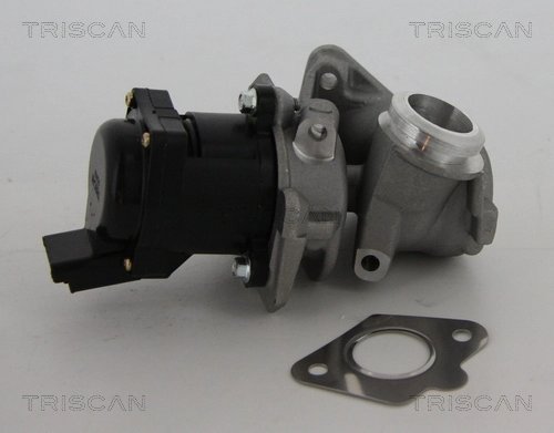 Supapa EGR Triscan 8813 10010