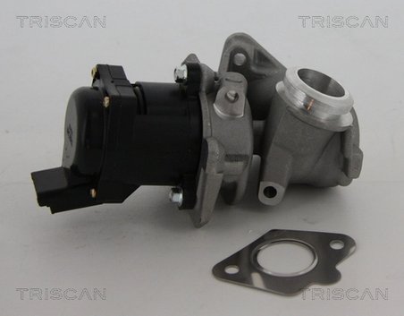 Supapa EGR Triscan 8813 10010