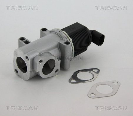 Supapa EGR Triscan 8813 10015