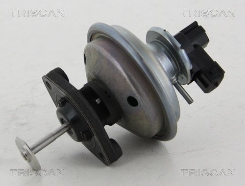 SUPAPA EGR TRISCAN 8813 11002 - Compatibil cu BMW, MINI