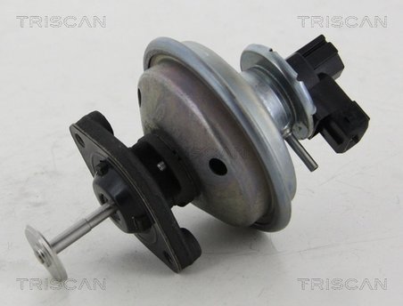 SUPAPA EGR TRISCAN 8813 11002 - Compatibil cu BMW, MINI
