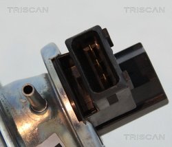 SUPAPA EGR TRISCAN 8813 11002 - Compatibil cu BMW, MINI