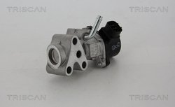 Supapa EGR Triscan 8813 13028