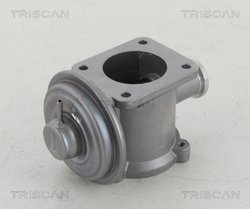 SUPAPA EGR TRISCAN 8813 11003 - Compatibil cu BMW