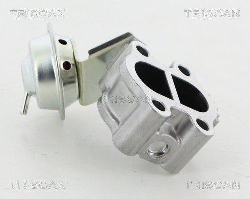 Supapa EGR Triscan 8813 13060