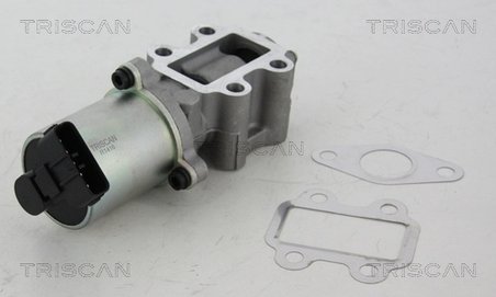 Supapa EGR Triscan 8813 13102