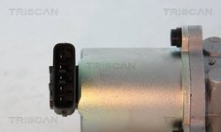 Supapa EGR Triscan 8813 13102