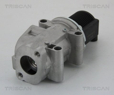 SUPAPA EGR TRISCAN 8813 15032 - Compatibil cu FIAT