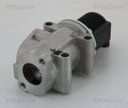 SUPAPA EGR TRISCAN 8813 15032 - Compatibil cu FIAT
