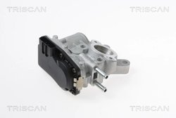 SUPAPA EGR TRISCAN 8813 14100 - Compatibil cu NISSAN