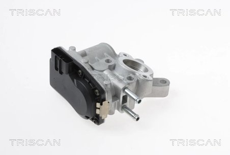 SUPAPA EGR TRISCAN 8813 14100 - Compatibil cu NISSAN