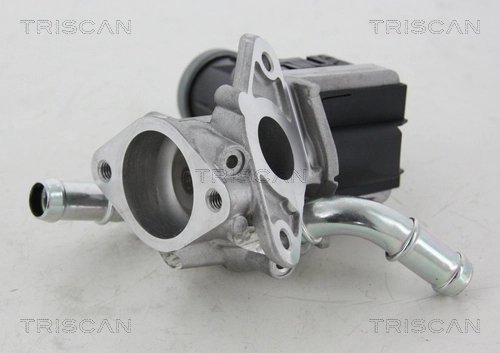 SUPAPA EGR TRISCAN 8813 16036 - Compatibil cu FORD
