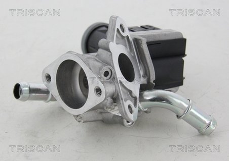 SUPAPA EGR TRISCAN 8813 16036 - Compatibil cu FORD