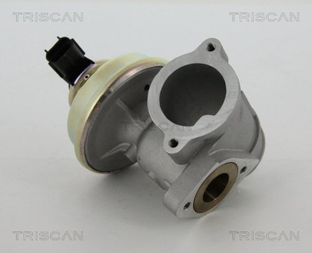 SUPAPA EGR TRISCAN 8813 16102 - Compatibil cu FORD