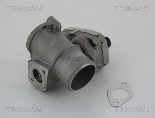 SUPAPA EGR TRISCAN 8813 16101 - Compatibil cu FORD, JAGUAR
