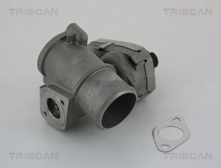 SUPAPA EGR TRISCAN 8813 16101 - Compatibil cu FORD, JAGUAR