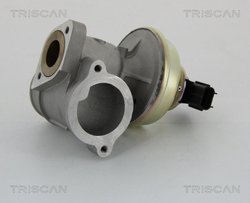 SUPAPA EGR TRISCAN 8813 16102 - Compatibil cu FORD