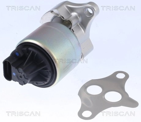 Supapa EGR Triscan 8813 21001